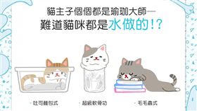 名家／毛起來／貓咪是水做的