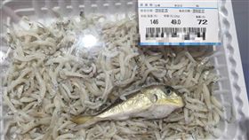 吻仔魚、魩仔魚／臉書爆笑公社