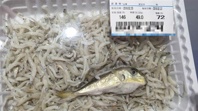 以為看到吻仔魚之王　真相恐會毒死人