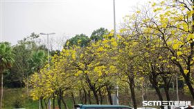 國道,服務區,花。