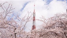  日本,觀光,東京,東京鐵塔 圖／翻攝東京タワー　Tokyo Tower臉書