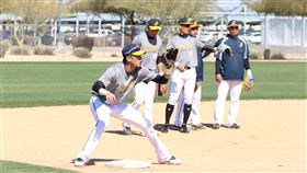 ▲中信兄弟在美國亞歷桑納第2階段春訓。（圖／取自中信兄弟Fans Club粉絲團）