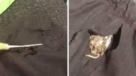 英國,女童,校裙,裙子,老鼠,惡臭,超市,鬆緊帶（圖／翻攝自
SWNS TV YouTube）https://www.youtube.com/watch?v=uiz9Venl6co