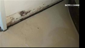 合宜宅又出包! 住戶控房子漏水.壁癌問題多