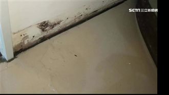 浮洲合宜宅又出包！漏水、壁癌問題多