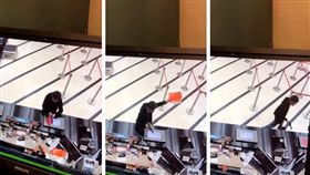 圖／翻攝自YouTube