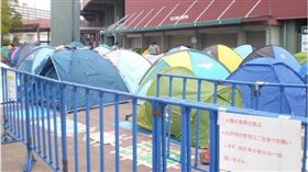 廣島球迷排預售票，排上百個帳篷（圖／翻攝自推特）