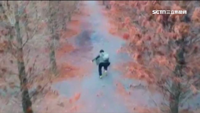 空拍落羽松美景　下一秒…慘摔全都錄