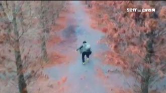 空拍落羽松美景　下一秒…慘摔全都錄