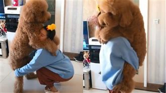 巨大毛小孩求抱　女主人吃力臉超爆笑