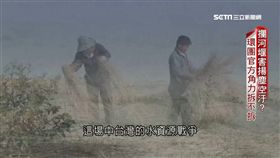 新聞深一度／攔河堰害揚塵空汙？環團官方角力拆不拆
SOT