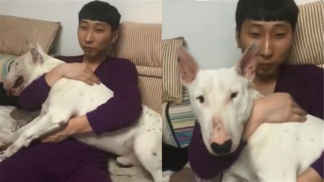 人狗意外撞臉　網驚「是親生的」