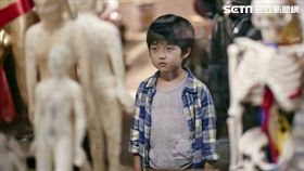 上岸的魚,白潤音/海鵬影業提供