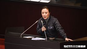 立法院召開臨時會審理勞基法，國民黨立委李彥秀。 圖／記者林敬旻攝
