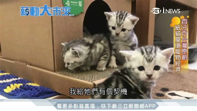 印刷廠二代以愛出發　開發紙貓屋商機