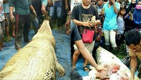 鱷魚又吃人(翻攝自每日郵報)