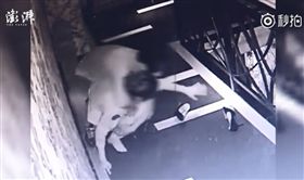 大陸廣西柳州一名45歲周姓男子，到娛樂會所消費玩樂酒醉，將一名女服務生小姚拖到樓梯間性侵，這時有一名男員工竟裝作沒看見，任由小姚被客人凌辱，所幸後來有其他客人經過制止，周男才肯鬆手。最後周男兒子大義滅親，警方才成功將周男逮捕歸案。（圖／翻攝自秒拍）
