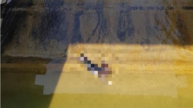 嚇！苗栗鯉魚潭　驚見女子陳屍水庫