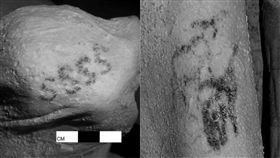 刺青,木乃伊,紋身,埃及,大英博物館,British Museum,紅外線成影　圖／翻攝自微博