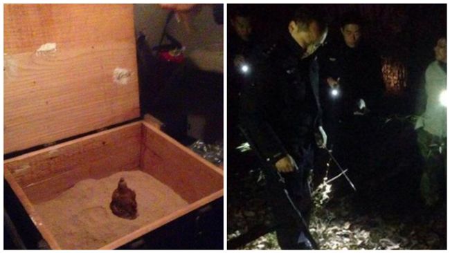 少年樹林裡挖寶物　父嚇傻：是手榴彈