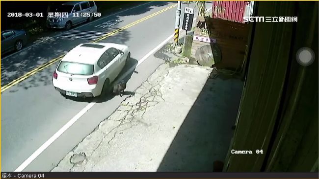BMW山路奔馳　狠輾曬陽小黑狗肇逃