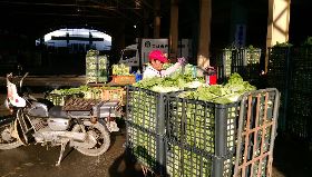 高市果菜市場休市  農會擴大通路續收