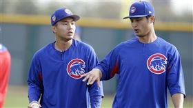 ▲達比修有和台灣小將曾仁和是春訓傳接球搭檔。（圖／路透社／達志影像）