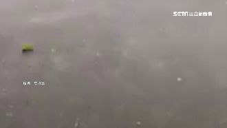 南投魚池鄉突下冰雹　大雨交雜超驚人