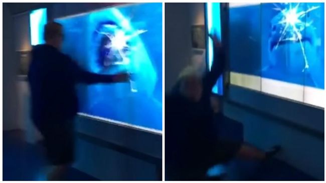 互動水族館鯊魚衝破玻璃　民眾全嚇傻