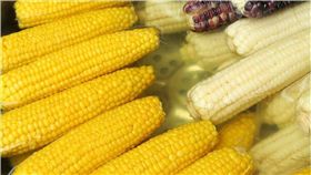 玉米,嬰兒,大陸,浙江,消化道穿孔,胃　圖／pixabay
