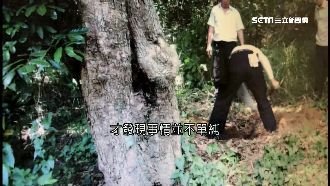 男童含冤被埋5年　警監聽意外破血案