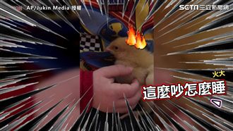 不領情！男孩唱童謠惹火小雞