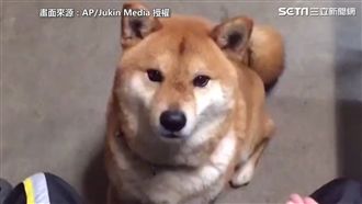 萌柴玩猜食物　結果揭曉瞬間生無可戀