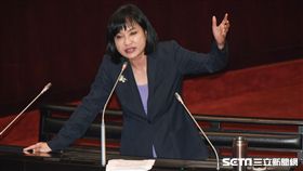 國民黨立委柯志恩質詢。 圖／記者林敬旻攝