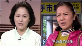 潘麗麗 圖／翻攝自YouTube,資料照