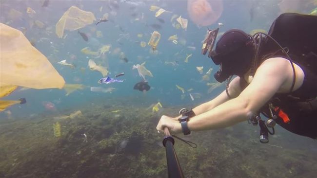 海洋生物消失殆盡　潛水員悠遊垃圾海