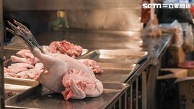 禽流感,雞鴨,H5N6,防疫,疾管署,農委會 圖／記者林敬旻攝