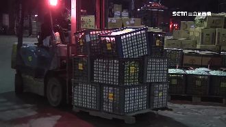 開市備戰！貨運行載2百噸蔬菜北上