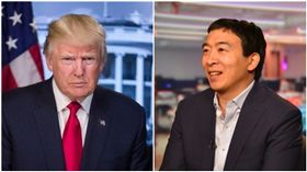 楊安澤（Andrew Yang）、川普（合成圖／翻攝自楊澤安、川普推特）