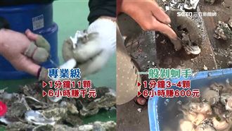 挑刺、剝蚵、剖魚肚　神手賺錢快狠準