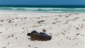 世界上歷史最悠久的「瓶中信」（圖／翻攝自Western Australian Museum臉書）