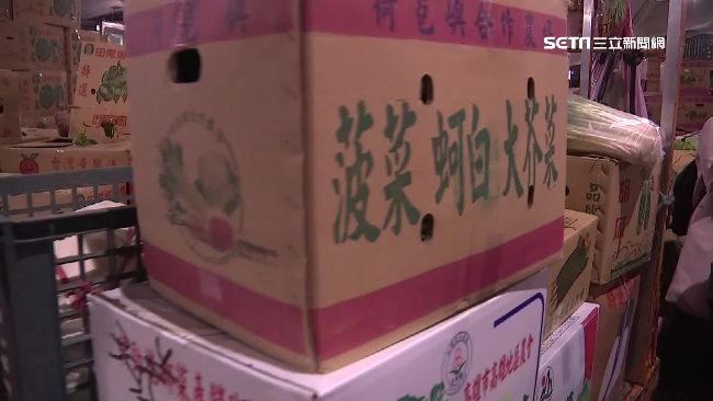 菜價平穩是一日行情？中盤商剉哩等