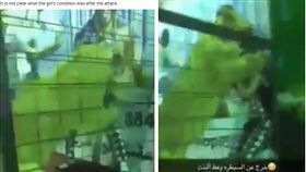 沙烏地阿拉伯吉達有一群孩子和獅子共處一室玩捉迷藏，不料一名女童慘遭獅子撲倒、咬傷，旁邊民眾見狀後，立刻上前將女童與獅子隔開，目前尚未清楚女童傷勢與狀況。（圖／翻攝自太陽報）