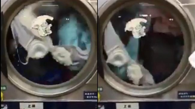 洗衣店「上上下下」　網友錄影好尷尬