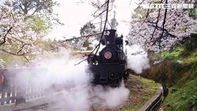阿里山鐵路,出軌,高山鐵路,林務局,阿里山林業鐵路,台鐵,森鐵
圖／林務局