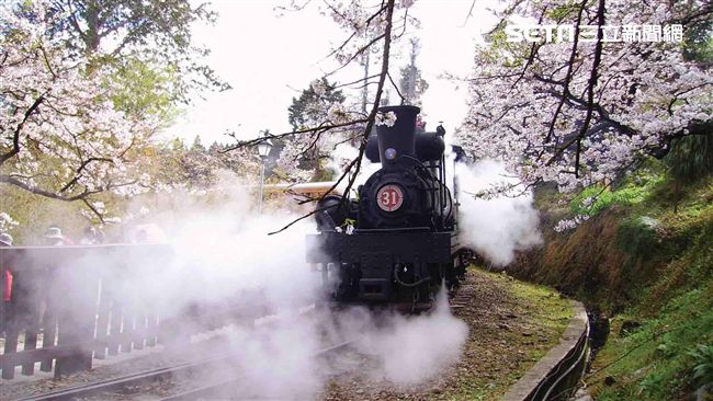森鐵39天出軌4次　管理處長遭調職