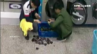 男把烘衣機當微波爐　醬包加熱全爆開