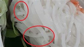 慎入！有網友日前大啖越南河粉，他將麵倒下碗中準備攪拌時，竟出現爆量蜘蛛，更誇張的是，業者還淡定地說「喔！那換一份新的給你」。其他網友看到後紛紛崩潰，直呼「簡直是盤絲洞！」（圖／翻攝自爆怨公社）