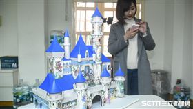 立法委員蘇震清的迪士尼。 圖／記者林敬旻攝