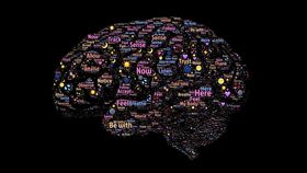 大腦,海馬迴,神經元,UCSF,Arturo Alvarez-Buylla,研究,Hippocampus,學習　圖／翻攝自Pixabay　https://goo.gl/zPo5Lo https://goo.gl/wsR8vX